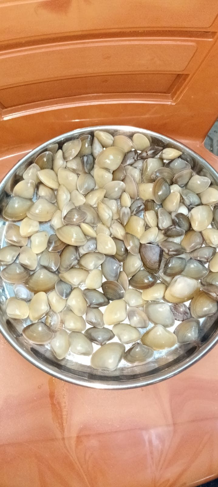 Fresh marvai (clams)
