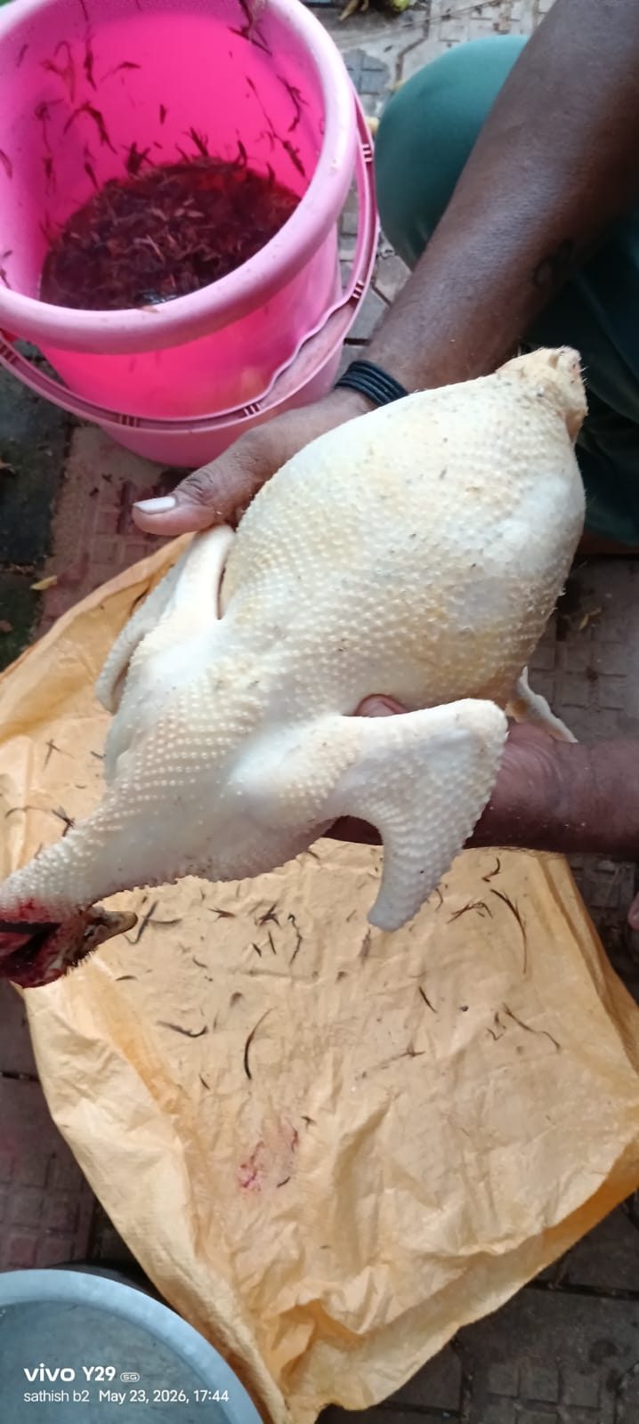 Pure country chicken (naati koli)
