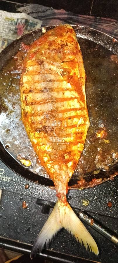 Tawa fish fry